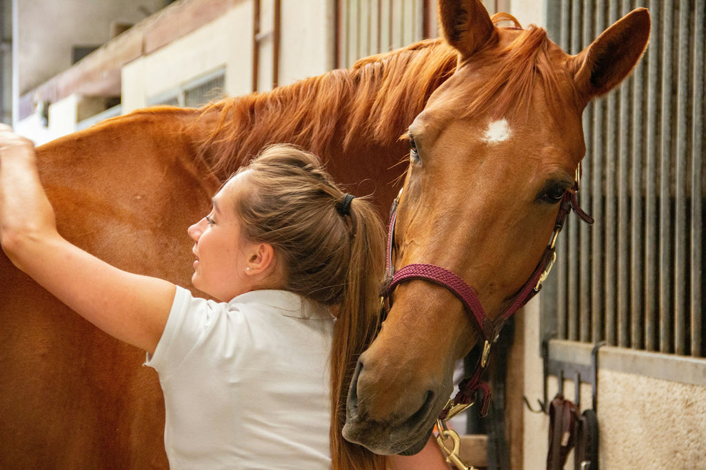 Trust Your Gut Part II: Effective Treatments for Equine Ulcers